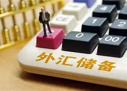 九游会官网-专家称LDO将在年底冲破325美元，引发引发关注的简单介绍